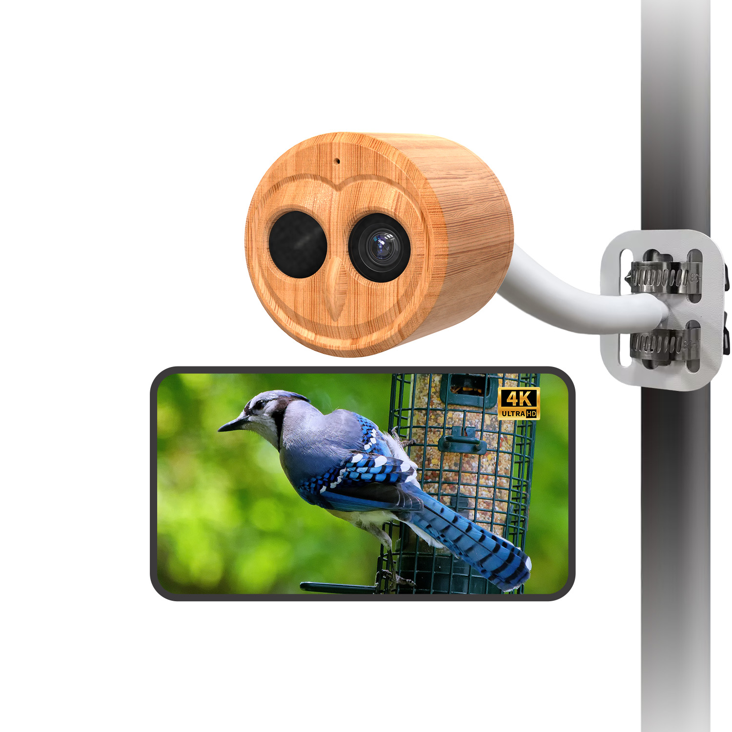 4K 스마트 조류 관찰 카메라, 태양광 AI 조류 인식 - Power Outdoor 리뷰 및 가격